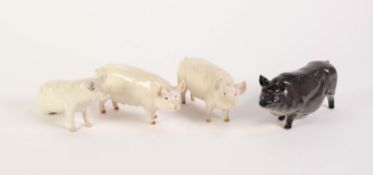 THREE BESWICK POTTERY MODELS OF PIGS, comprising: CHAMPION WALL BOY 53, CHAMPION WALL QUEEN 40 and a