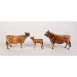 BESWICK POTTERY FAMILY OF JERSEY CATTLE, comprising: ?DUNSLEY COY BOY? BULL (1422), ?NEWTON