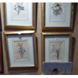 AFTER REDOUTE, SET OF SIX LIMITED EDITION COLOUR PRINTS OF FLOWERS, PUBLISHED ON BEHALF OF THE