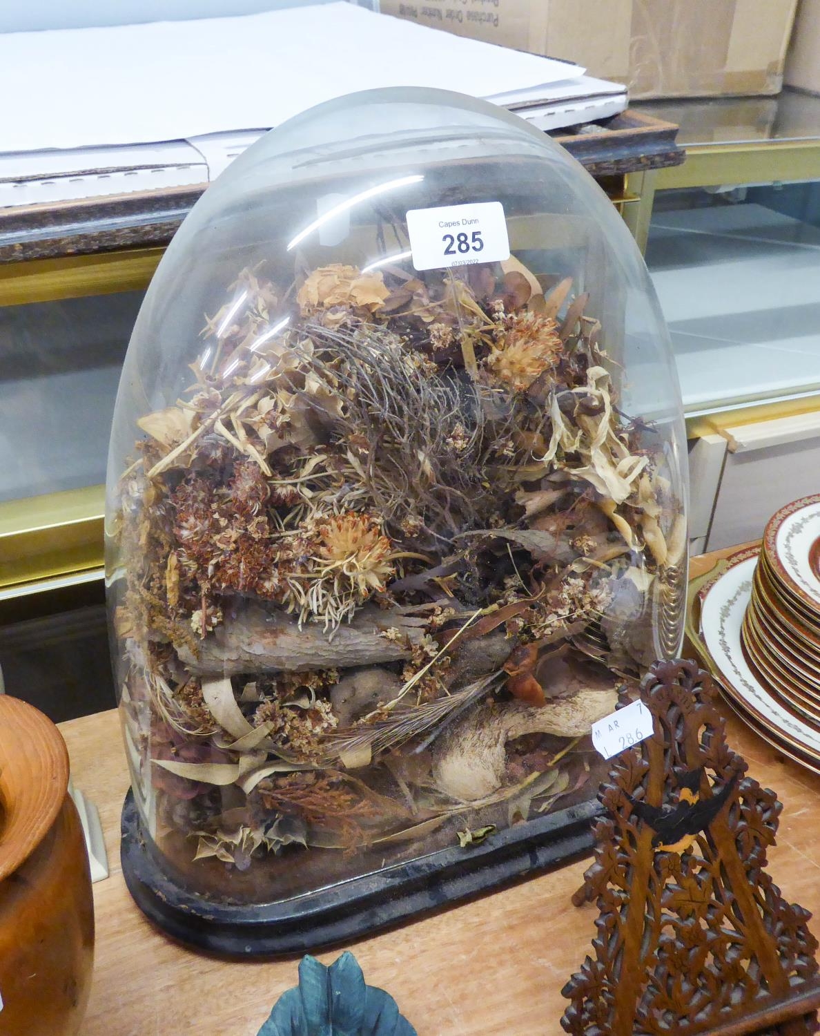 A GLASS DOME OVER A DISPLAY OF DRIED GRASSES