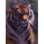 ROLF HARRIS (b.1930) ARTIST SIGNED LIMITED EDITION COLOUR PRINT ON CANVAS ?Tiger in the Sun?, (88/
