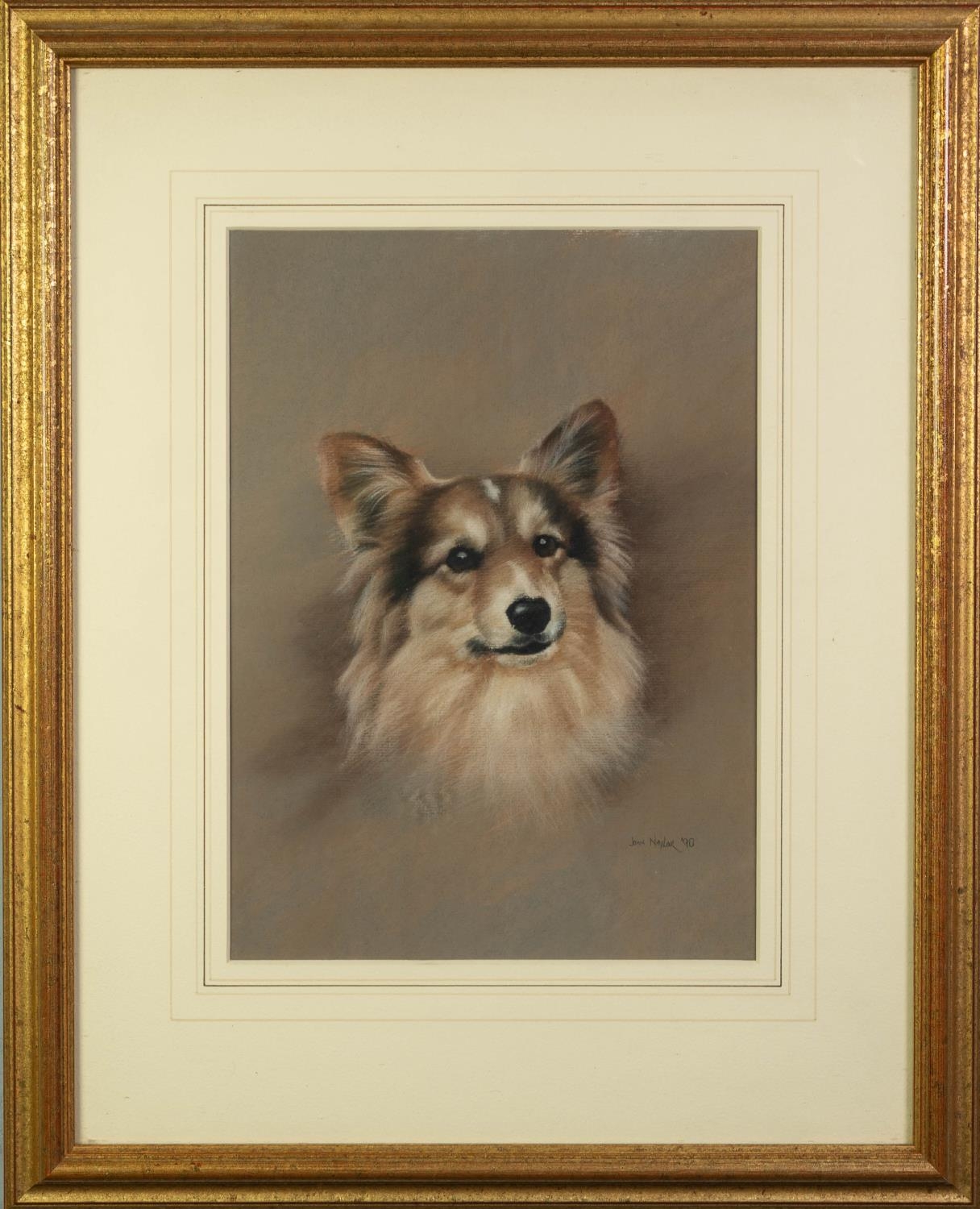 JOHN NAYLOR (b.1960) PASTEL DRAWING ON GREY PAPER Head portrait of a dog Signed and dated (19)90 - Image 2 of 2