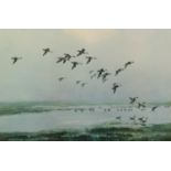 AFTER PETER SCOTT 1969 ARTIST SIGNED REPRODUCTION COLOUR PRINT Wildfowl flying in to wetlands