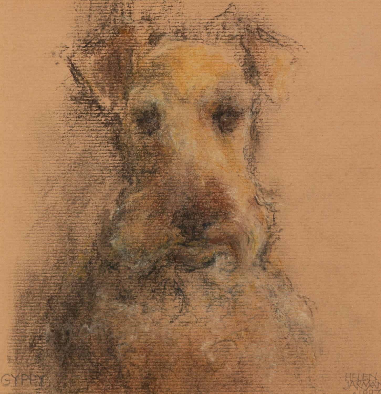 HELEN JARMAN (TWENTIETH CENTURY) TWO PASTEL DRAWINGS Dog Portraits Both signed ?Gyppy?, dated 1997 6