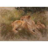 NEIL FORSTER (1940-2016) PASTEL DRAWING ?Lioness with Cubs? Signed, titled to Petley Fine Art