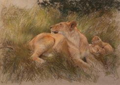 NEIL FORSTER (1940-2016) PASTEL DRAWING ?Lioness with Cubs? Signed, titled to Petley Fine Art