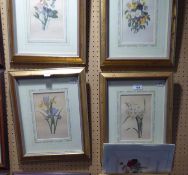 AFTER REDOUTE, SET OF SIX LIMITED EDITION COLOUR PRINTS OF FLOWERS, PUBLISHED ON BEHALF OF THE