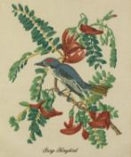 UNATTRIBUTED (TWENTIETH CENTURY) PAIR OF COLOUR PRINTS ON SILK Studies of birds 11 ½? x 10? (29.