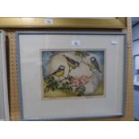 AN ARTIST SIGNED ORIGINAL COLOURED ETCHING 'BLUE TITS'  9" X 11 3/4"