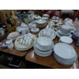 THOMAS, GERMAN WHITE CHINA DINNER WARES, A PLANT CHINA COFFEE SET (15 PIECES) AND MISC DOMESTIC
