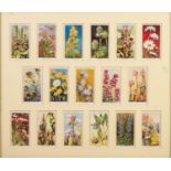 FOUR FRAMED SETS OF 68 (in total) WILLIS'S WILD FLOWRES CIGARETTE CARDS, a framed set of PLANERS