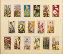 FOUR FRAMED SETS OF 68 (in total) WILLIS'S WILD FLOWRES CIGARETTE CARDS, a framed set of PLANERS