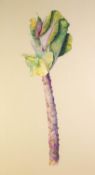 JAI REDMAN (TWENTIETH/ TWENTY FIRST CENTURY) WATERCOLOUR DRAWING ?A Cabbage? Unsigned, attributed ad