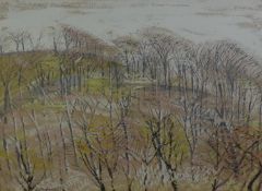 HAROLD HEMMINGWAY (1908-1976) GOUACHE DRAWING Woodland scene Signed and inscribed: R15654 15 ¼? x 21