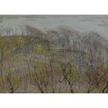 HAROLD HEMMINGWAY (1908-1976) GOUACHE DRAWING Woodland scene Signed and inscribed: R15654 15 ¼? x 21