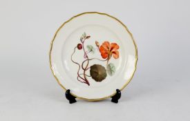 18th CENTURY DERBY CHINA PLATE, the centre painted in polychrome with specimen nasturtium flower,