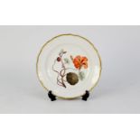 18th CENTURY DERBY CHINA PLATE, the centre painted in polychrome with specimen nasturtium flower,