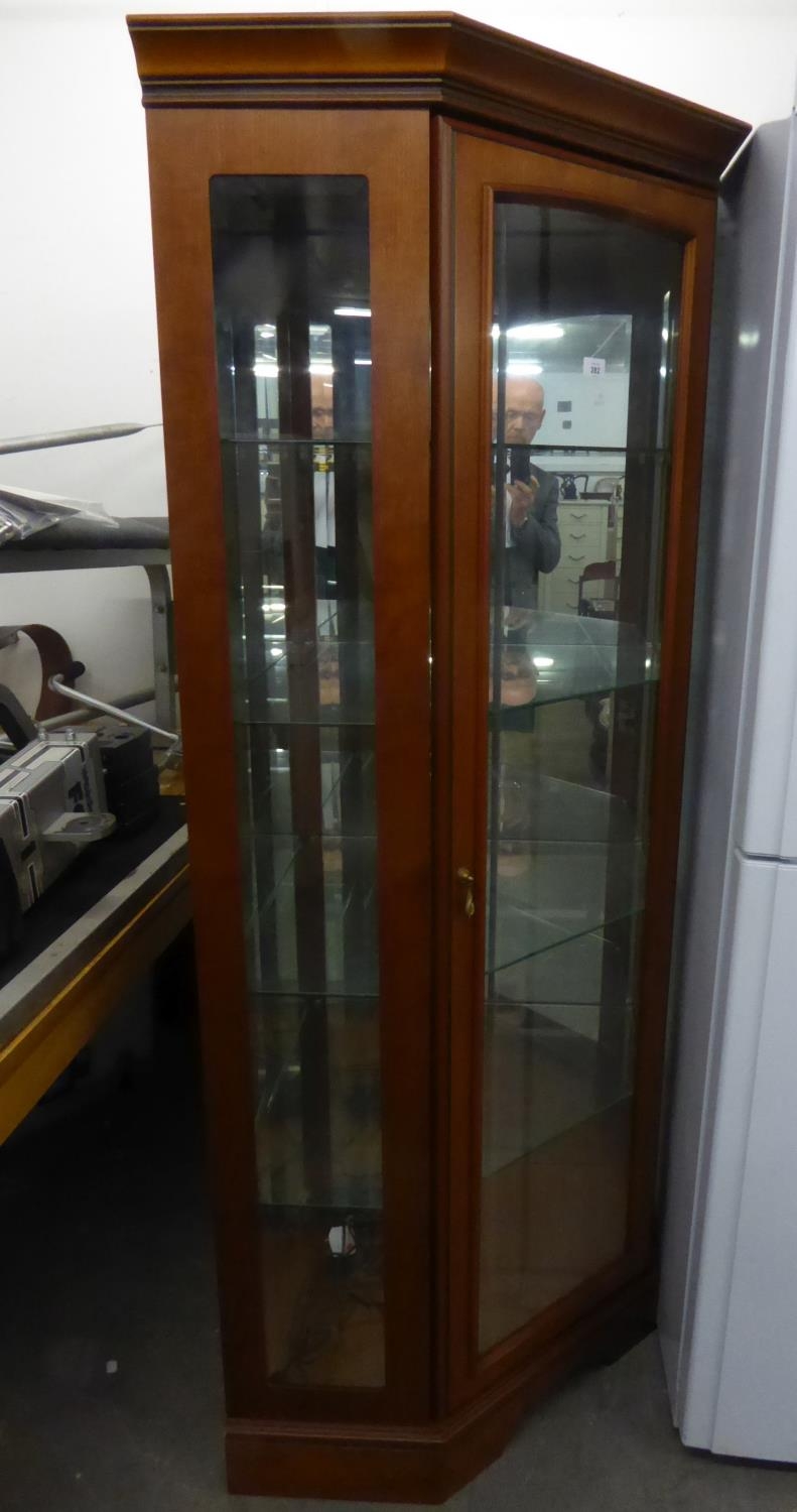 A MAHOGANY CORNER DISPLAY CABINET, WITH FULL-HEIGHT BEVELLED PLATE GLASS PANEL DOOR AND SIDE PANELS,