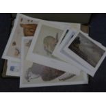 A2 BLACK ART PORTFOLIO CONTAINING A SMALL SELECTION OF UNFRAMED COLOUR PRINT AFTER THE ARTISTS,