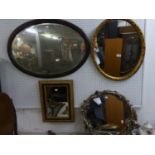 A LARGE OVAL MAHOGANY FRAMED MIRROR, TWO OVAL GILT FRAMED MIRRORS AND A SMALL OBLONG GILT FRAMED