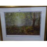A LIMITED EDITION COLOUR PRINT 'BLUE BELL WOOD' 5/395, SIGNED DAVID DIPNALL, FRAMED AND GLAZED