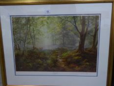 A LIMITED EDITION COLOUR PRINT 'BLUE BELL WOOD' 5/395, SIGNED DAVID DIPNALL, FRAMED AND GLAZED