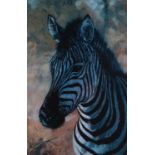 ROLF HARRIS (b. 1930) ARTIST SIGNED LIMITED EDITION COLOUR PRINT ON PAPER ?Young Zebra? (86/195)