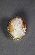 OVAL SHELL CAMEO BROOCH carved with a lady?s head, in 9ct GOLD FRAME, 1 ¼? (3cm) high, 7gms gross