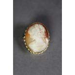 OVAL SHELL CAMEO BROOCH carved with a lady?s head, in 9ct GOLD FRAME, 1 ¼? (3cm) high, 7gms gross