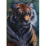 ROLF HARRIS (b.1930) ARTIST SIGNED LIMITED EDITION COLOUR PRINT ON CANVAS ?Tiger in the Sun? (114/