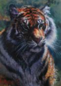 ROLF HARRIS (b.1930) ARTIST SIGNED LIMITED EDITION COLOUR PRINT ON CANVAS ?Tiger in the Sun? (114/