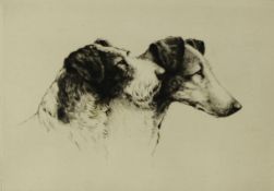 R B E WOODHOUSE ARTIST SIGNED ETCHING Head portraits of two dog, ?The Rough with the Smooth? 5? x 7?