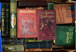 A small quantity of mainly VICTORIAN juvenile fiction, all bound in typical period illustrative