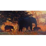 ROLF HARRIS (b.1930) ARTIST SIGNED LIMITED EDITION COLOUR PRINT ON CANVAS ?Backlit Gold? (186/195)