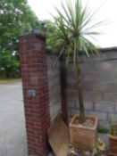 TWO  TERRACOTTA LARGE, SQUARE GARDEN VASES, 1? 7 ½? WIDE, 1? 7? HIGH, ONE WITH PALM TREE