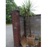 TWO  TERRACOTTA LARGE, SQUARE GARDEN VASES, 1? 7 ½? WIDE, 1? 7? HIGH, ONE WITH PALM TREE