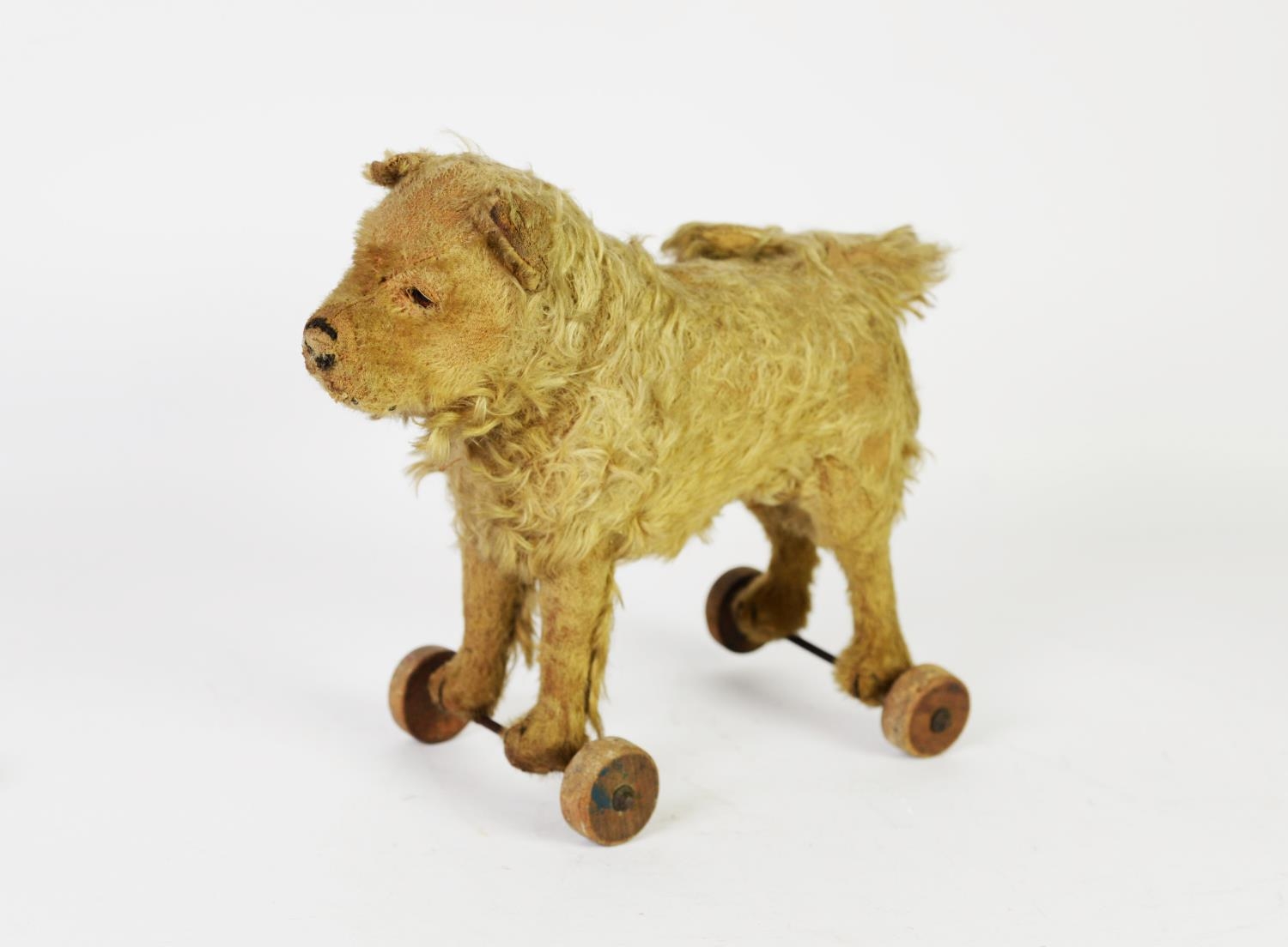 EARLY 20th CENTURY CHILD'S GOLDEN PLUSH COVERED PULL-ALONG TOY DOG, with glass eyes, shaven snout - Image 2 of 4