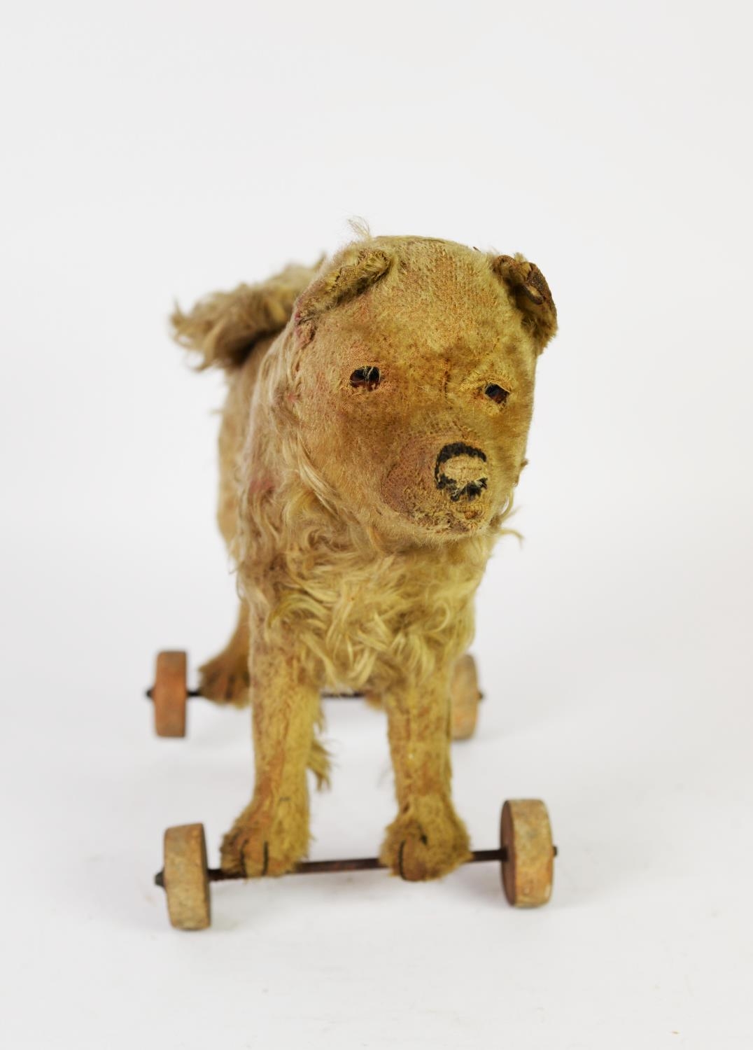 EARLY 20th CENTURY CHILD'S GOLDEN PLUSH COVERED PULL-ALONG TOY DOG, with glass eyes, shaven snout - Image 3 of 4