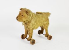 EARLY 20th CENTURY CHILD'S GOLDEN PLUSH COVERED PULL-ALONG TOY DOG, with glass eyes, shaven snout