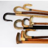 NINE WALKING STICKS WITH HORN HANDLES, including two with hallmarked silver collars, one a/f, (9)