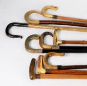 NINE WALKING STICKS WITH HORN HANDLES, including two with hallmarked silver collars, one a/f, (9)