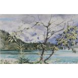 ALBERT B OGDEN (b. 1928) WATERCOLOUR DRAWING Windswept Tree, Fuschlsee, landscape with lake, small