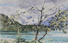 ALBERT B OGDEN (b. 1928) WATERCOLOUR DRAWING Windswept Tree, Fuschlsee, landscape with lake, small