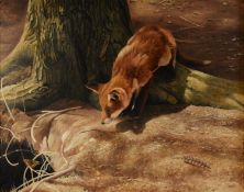 DAVID MILLER (b.1966) OIL ON CANVAS Fox cub watching a butterfly Signed and dated (19)97 15 ½” x