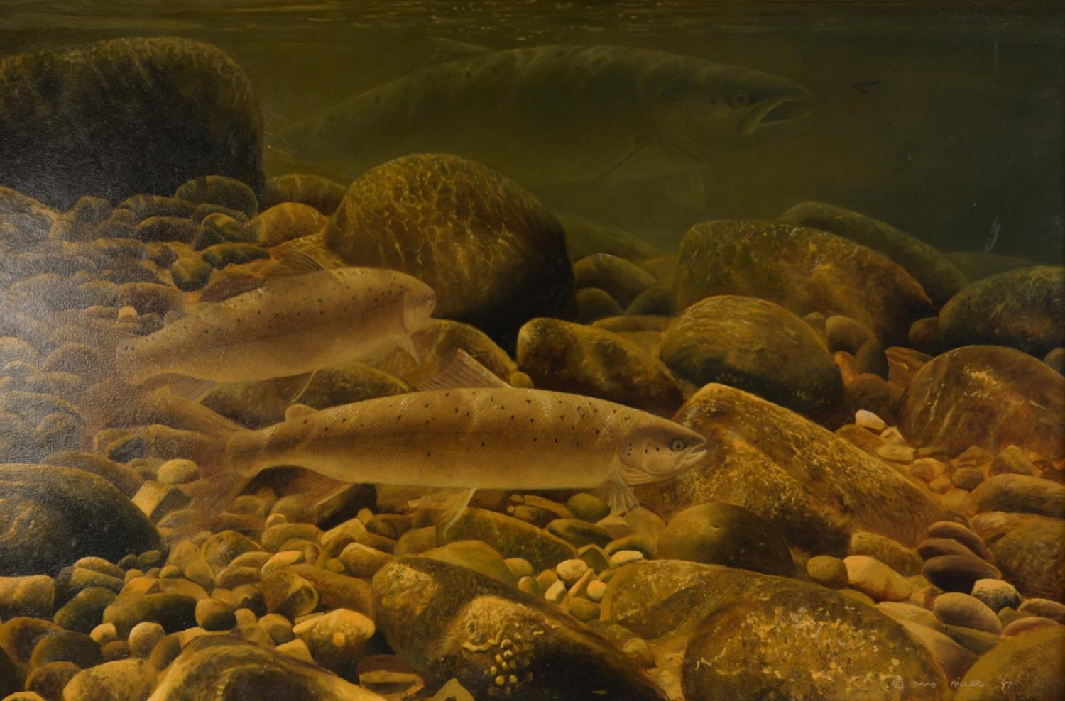 DAVID MILLER (b.1966) OIL ON CANVAS Three salmon, one about to take the angler’s fly Signed and