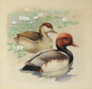 INITIALLED E.B, (TWENTIETH CENTURY) SET OF FOUR WATERCOLOURS Studies of pairs of ducks Initialled