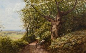 BONOMI EDWARD WARREN (NINETEENTH CENTURY) WATERCOLOUR DRAWING ‘A Surrey Woodland’ Signed and dated