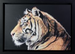 DARRYN EGGLETON (b.1981) ARTIST SIGNED LIMITED EDITION COLOUR PRINT ‘The Wild Side II’ (61/195) with