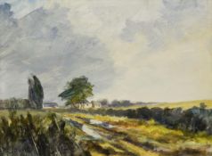 PAM POWELL (TWENTIETH/ TWENTY FIRST CENTURY) ACRYLIC ‘Vale of York’ Signed, titled to label verso 11