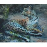 ROLF HARRIS (b.1930) ARTIST SIGNED LIMITED EDITION COLOUR PRINT ON PAPER ‘Leopard Reclining at Dusk’